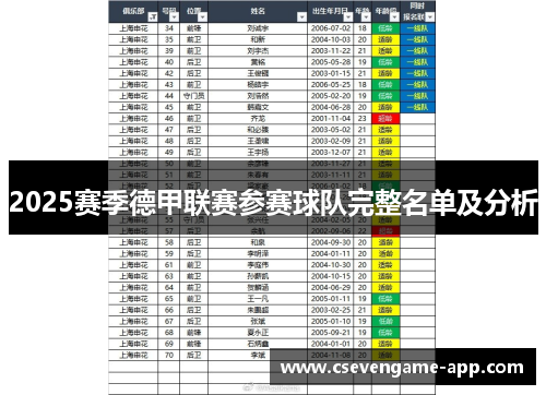 2025赛季德甲联赛参赛球队完整名单及分析