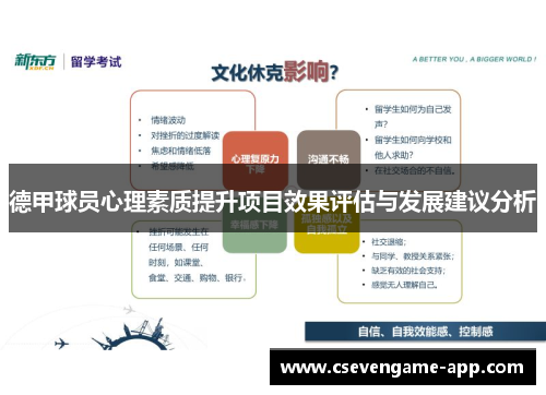 德甲球员心理素质提升项目效果评估与发展建议分析