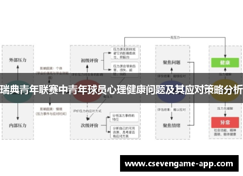 瑞典青年联赛中青年球员心理健康问题及其应对策略分析