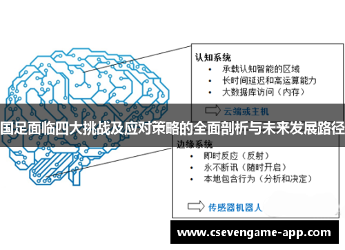 国足面临四大挑战及应对策略的全面剖析与未来发展路径