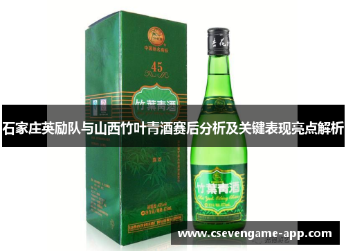 石家庄英励队与山西竹叶青酒赛后分析及关键表现亮点解析