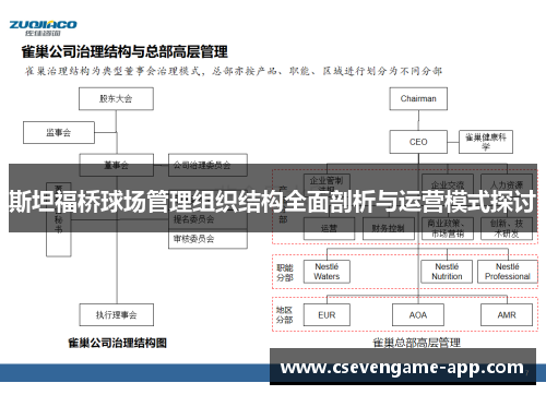 斯坦福桥球场管理组织结构全面剖析与运营模式探讨