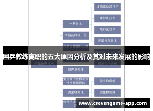 国乒教练离职的五大原因分析及其对未来发展的影响